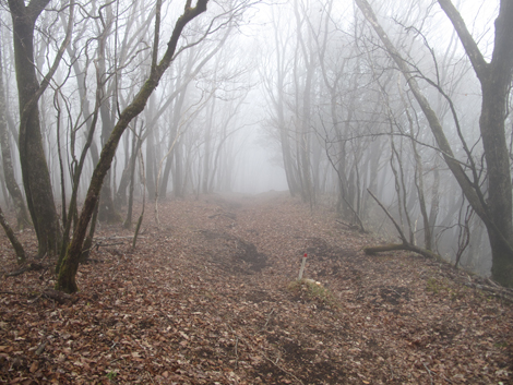 20181205hike (205)